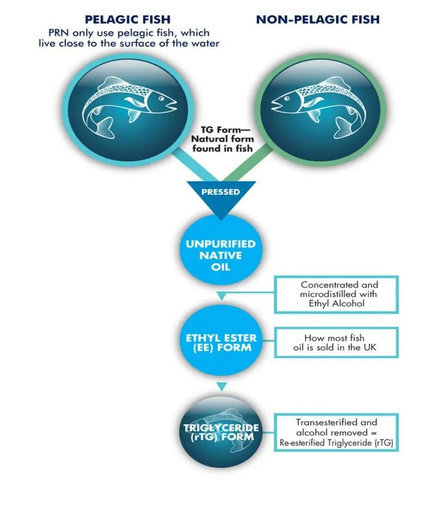 Centre for Sight inforgraphic on Omega suplement treatment