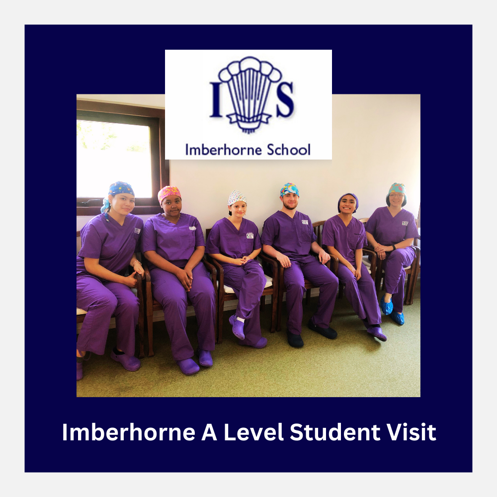 Imberhorne A level student day