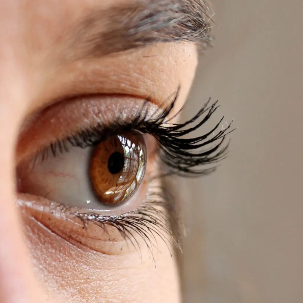 Centre for Sight female brown eye stock image for Demodex mites eyebrow