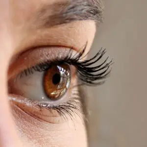 Centre for Sight female brown eye stock image for Demodex mites eyebrow