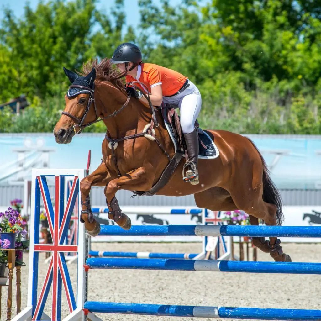 Centre for Sight lady jumping horse at show after laser eye surgery sussex