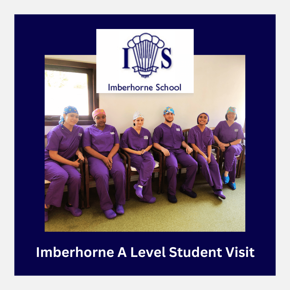 Imberhorne A level student day