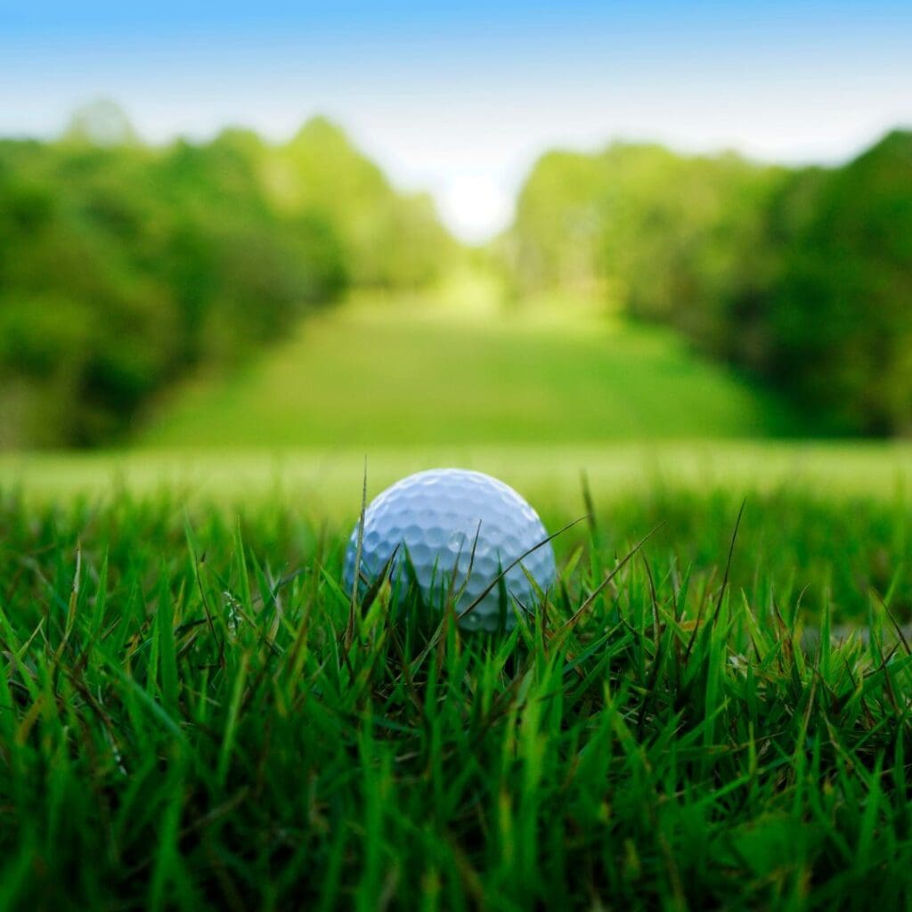 Centre for Sight golf ball on grass stock image